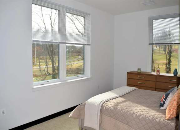 A bedroom with a large bed and a view of trees outside the window.