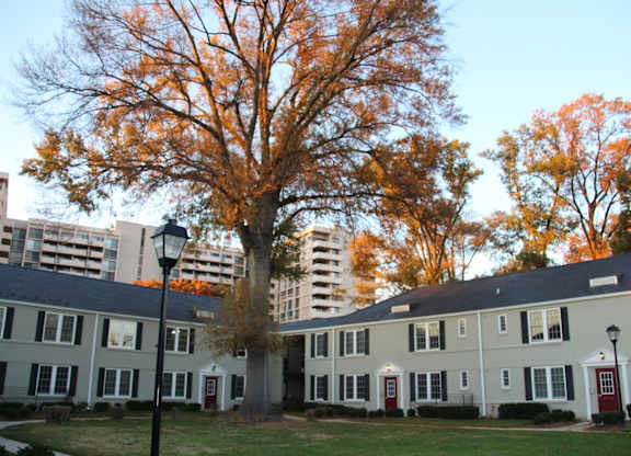 a row of houses with trees in front of a building