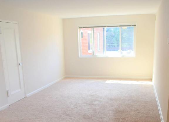 A room with a carpeted floor and a window letting in light.