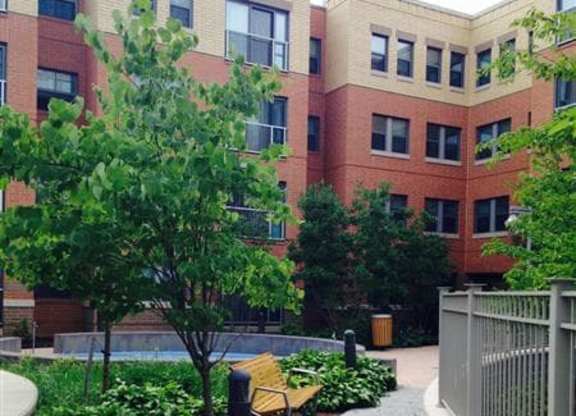 A tree in a courtyard surrounded by buildings.
