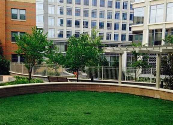 A green lawn in front of a building.