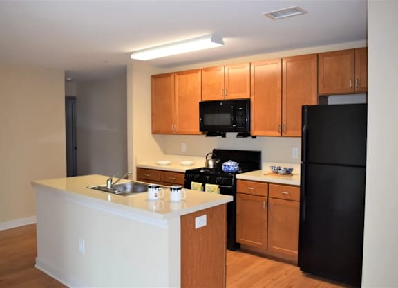 A kitchen with black appliances and wooden cabinets.