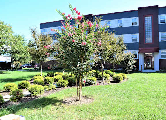 A tree with red flowers in front of a building.