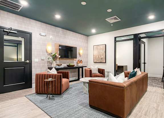A modern living room with a brown sofa and a grey rug.
