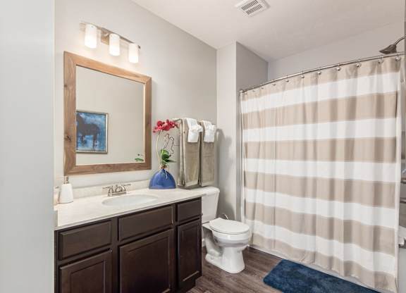A bathroom with a toilet, sink, and striped shower curtain.