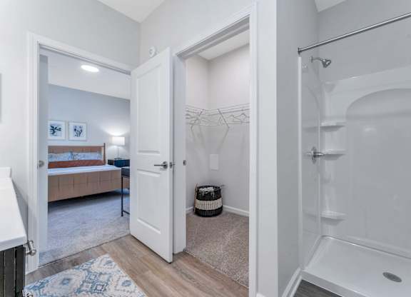 Shower and Walk In Closet