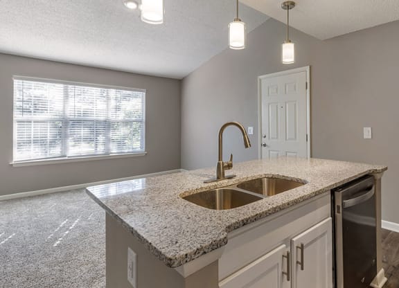 Aspen 1x1 629 kitchen B