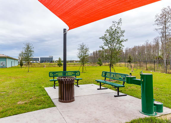 dog park