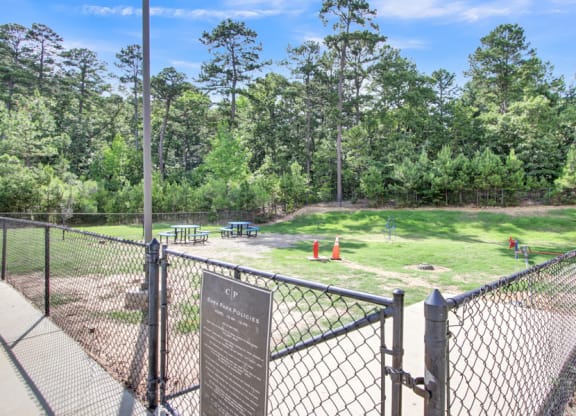 Dog park