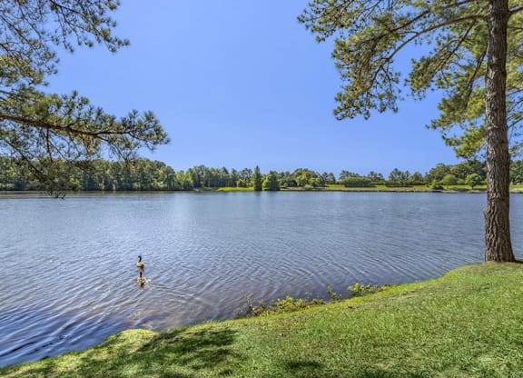 lake