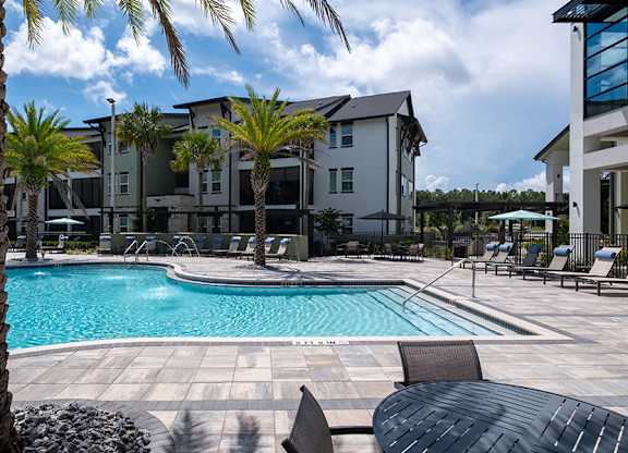 A pool surrounded by chairs and a palm tree.