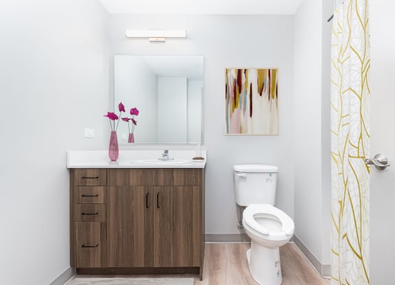 a bathroom with a toilet and a sink and a mirror