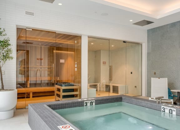 Jacuzzi and Spa at Cassidy on Canal, Chicago, Illinois