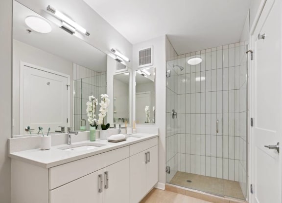 Luxurious Bathroom at 23rd Place Apartment, Chicago, IL, 60654