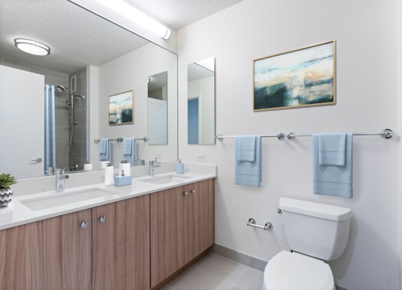 Updated Bathrooms at Kingsbury Plaza, Chicago, IL, 60654