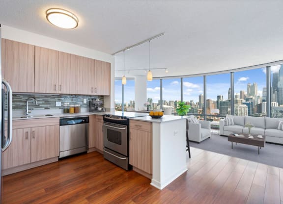 Modern Kitchen With Custom Cabinet at Kingsbury Plaza, Illinois