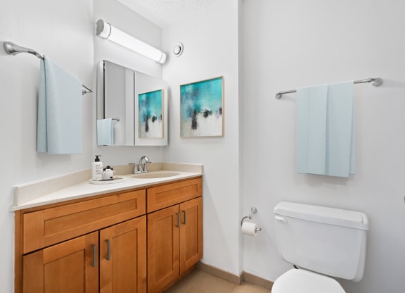 Bathroom With Bathtub at Asbury Plaza, Chicago, IL, 60654