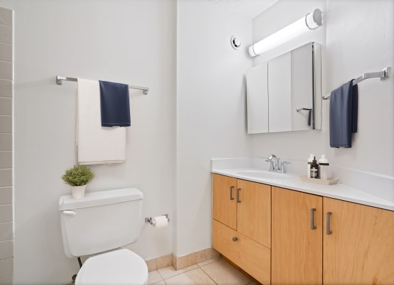 Luxurious Bathroom at Asbury Plaza, Chicago, IL
