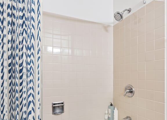 Soaking Tubs With Ceramic Tile at Asbury Plaza, Chicago, IL, 60654