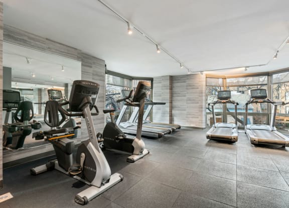 Fitness Center With Updated Equipment at Elm Street Plaza, Chicago, 60610