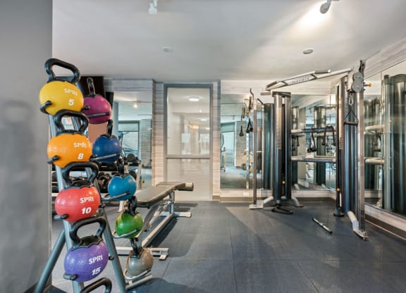 Fitness Center With Modern Equipment at Elm Street Plaza, Chicago, IL