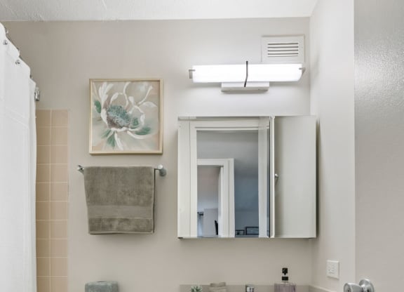 Luxurious Bathroom at Elm Street Plaza, Illinois, 60610