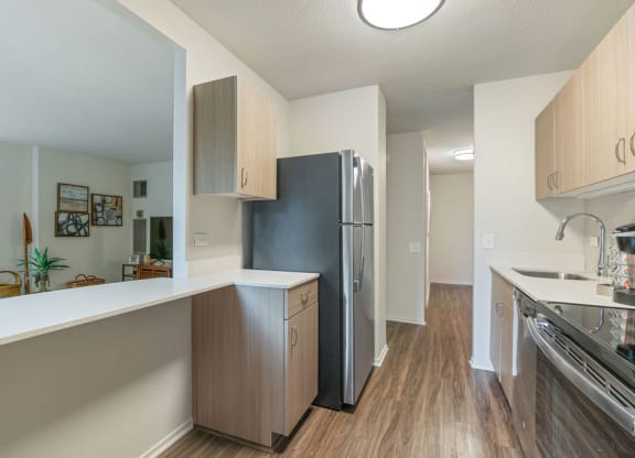 Kitchen Unit at Elm Street Plaza, Chicago