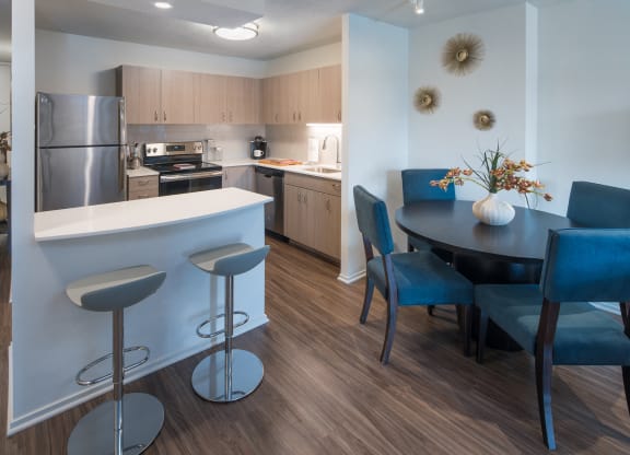 Beautiful Brand New Kitchens at Elm Street Plaza, Chicago, IL