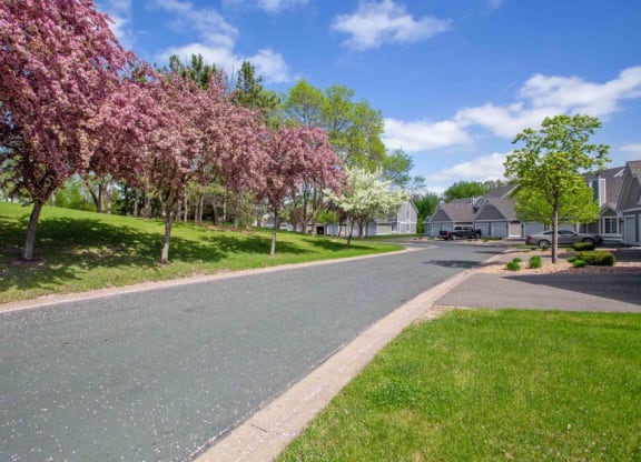 flowering trees line the street in a neighborhood with houses at Seasons Villas, Woodbury Minnesota
