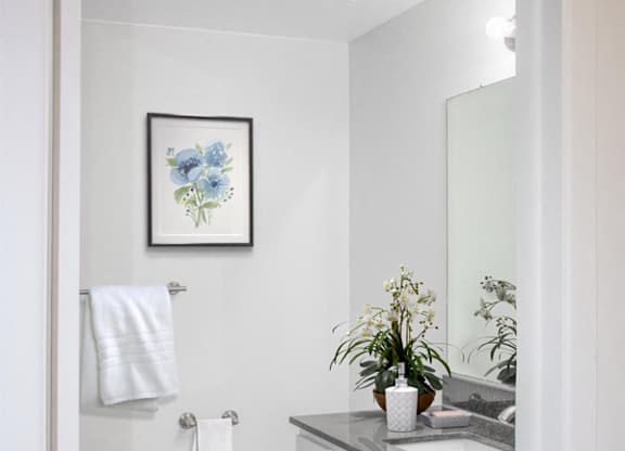 townhouse bathroom at The Village of Hyde Park, Detroit, Michigan