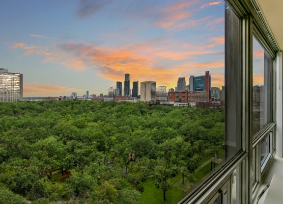 a view of the minneapolis skyline from a balcony at The Pavilion, Michigan, 48207