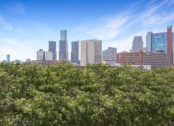 a view of the minneapolis skyline at The Pavilion, Detroit, MI, 48207