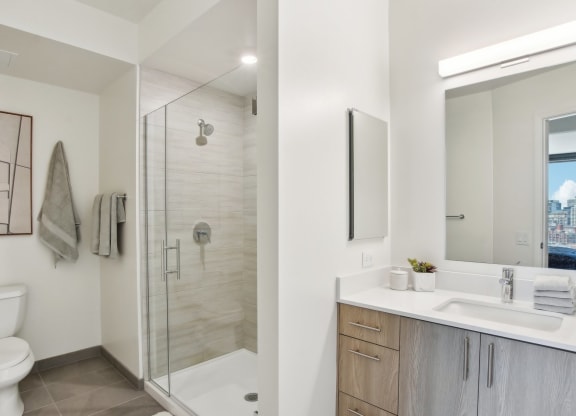 a bathroom with a shower toilet and sink and a mirror at Cassidy on Canal, Chicago, IL