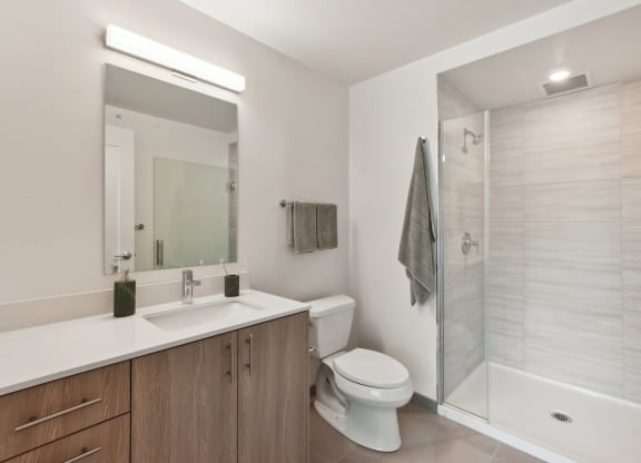 a bathroom with a shower toilet and sink and a mirror at Cassidy on Canal, Chicago, IL, 60654