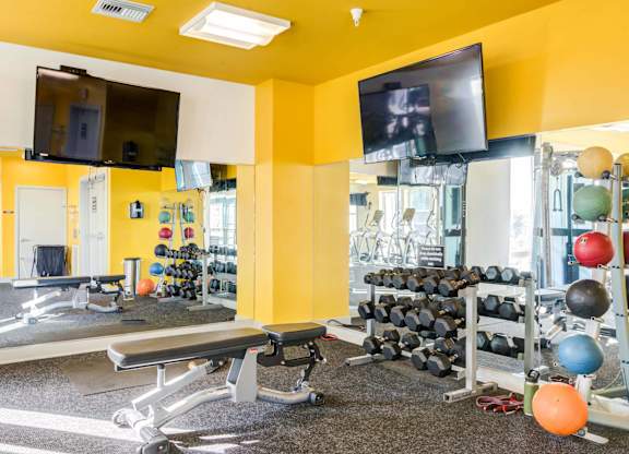 A gym with a bench, weights, and a television.