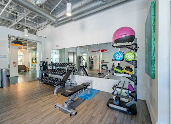 A gym with a variety of equipment including weights and cardio machines at 1701 North Apartment Homes Apartments, Chapel Hill, NC, 27514