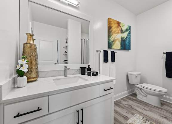 Bathroom with mirror at Views at Flowers, North Carolina, 27527