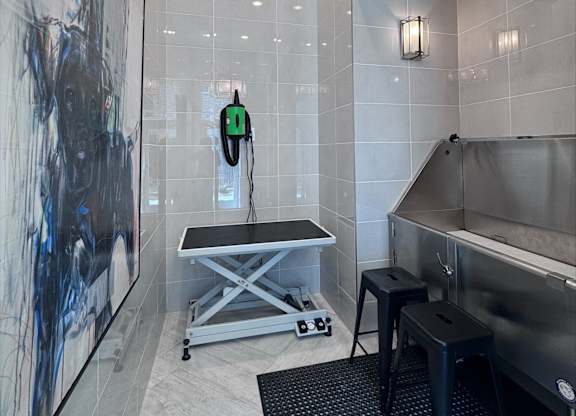 Pet spa at Views at Flowers, Clayton, NC, 27527