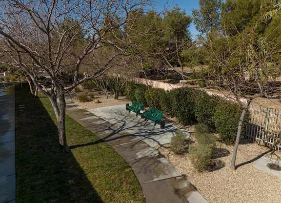 A park with a bench and a tree.