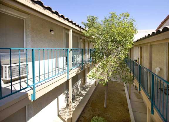 A tree in a courtyard surrounded by buildings.