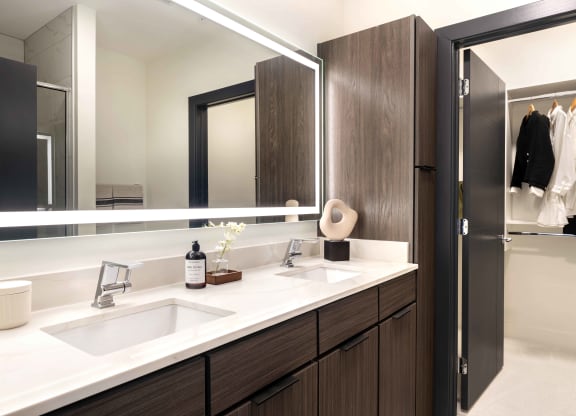 Master Bath and Closet at 220 Meridian, Indianapolis, IN 46204