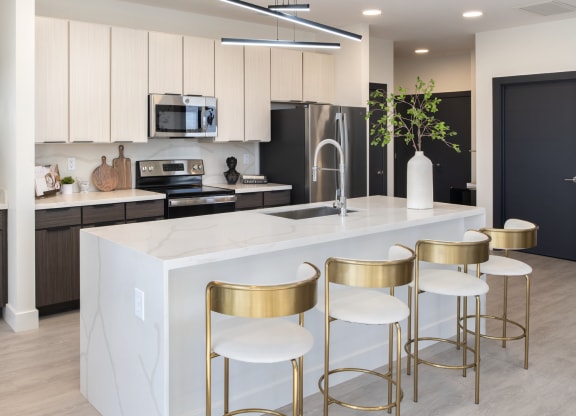 Luxury Kitchen at 220 Meridian, Indianapolis, IN 46204