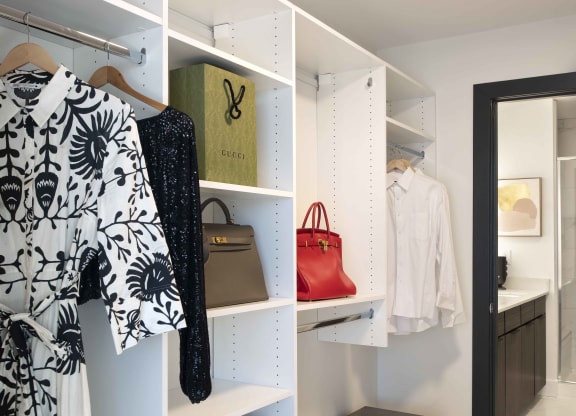Master Closet at 220 Meridian, Indianapolis, IN 46204