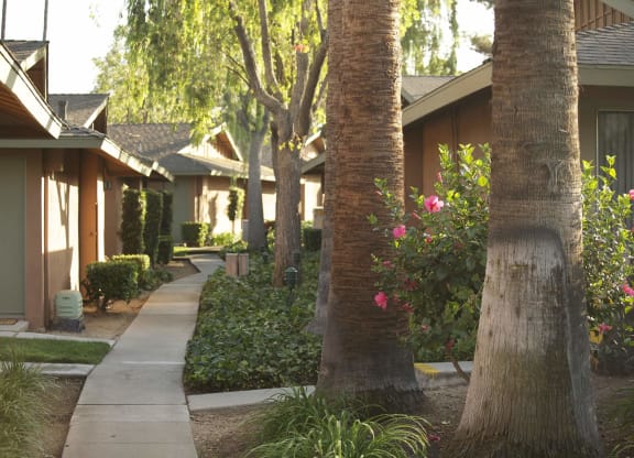 a row of houses with trees and a sidewalk at Terramonte Apartment Homes, California, 91767