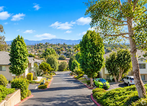 A tree-lined street with cars parked on the side.