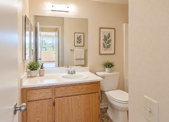 A bathroom with a white toilet, a sink, and a mirror.