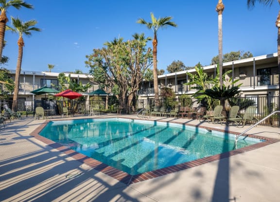 a swimming pool with palm trees and a building in the background at University Park, Azusa, CA 91702