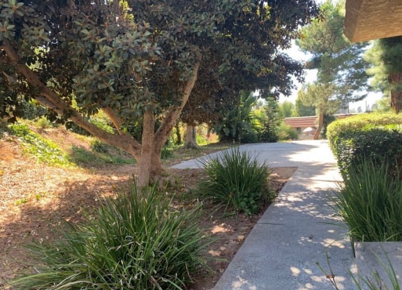 a path in a park with trees and plants at North View Terrace, Montebello, CA 90640