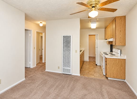 A living room with a fan and a kitchen area in the background.