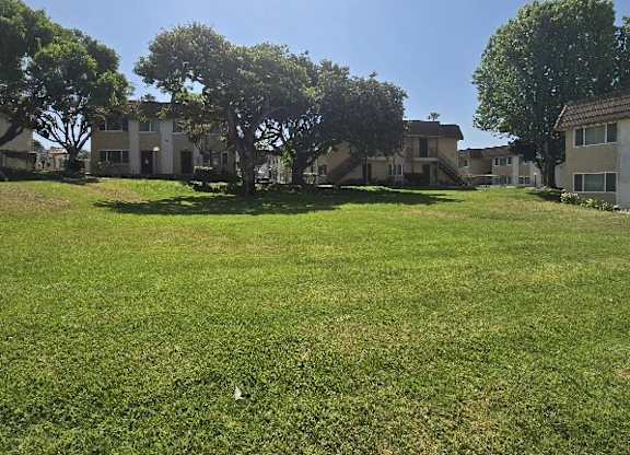A sunny day in a grassy field with trees and houses in the background.
